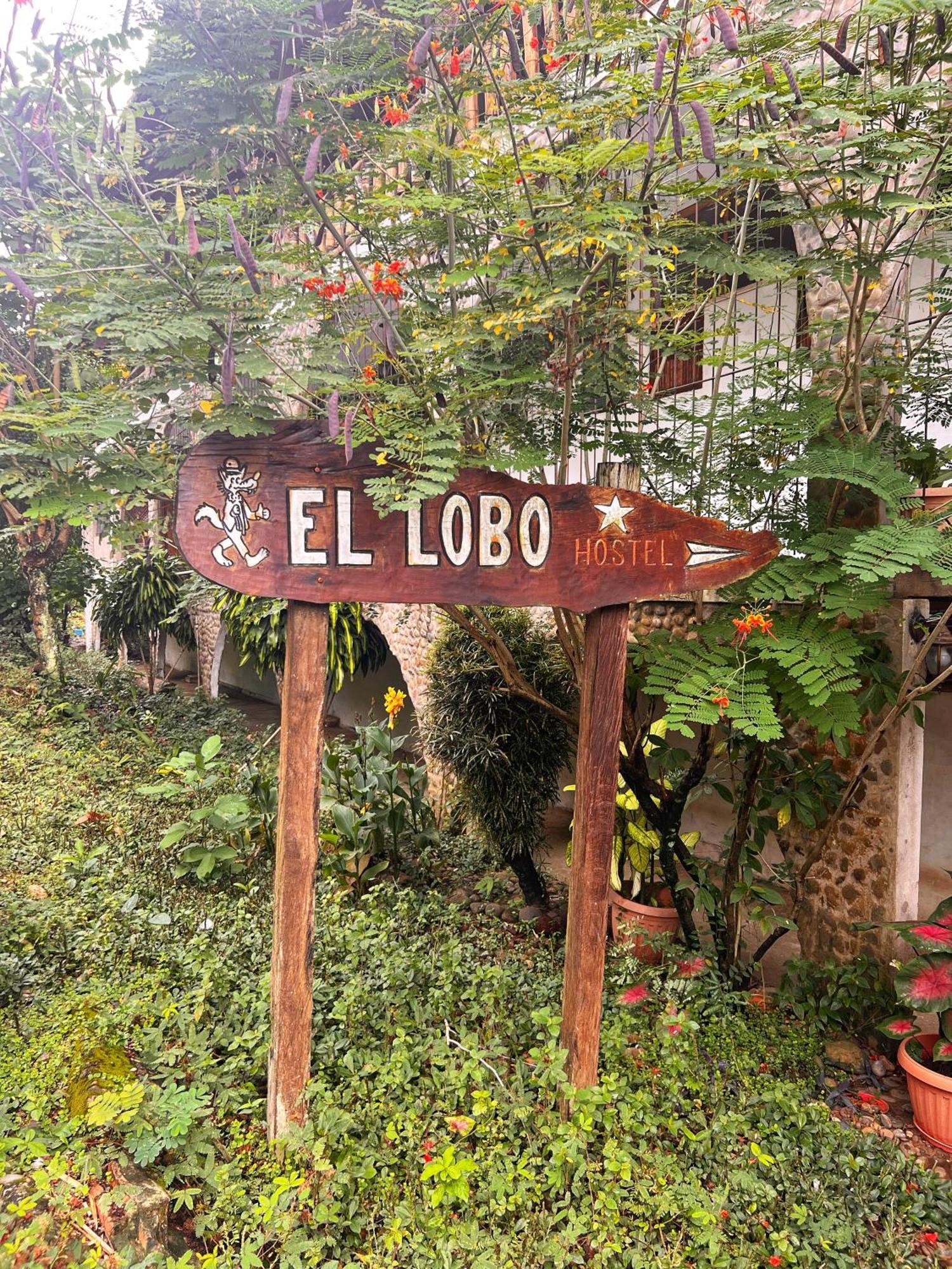 Lobo Hostel - Rurrenabaque (Adults Only) Exterior photo